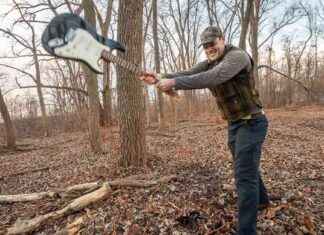 Exploring Forestry: An Interview with The Bubs’ Ethan Tapper exploring-forestry-an-nterview-with-the-bubs-ethan-tapper