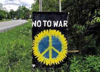 Exploring Shawn Dumont’s Expertise in Peace Signs in Vermont exploring-shawn-dumonts-expertise-in-peace-signs-in-vermont