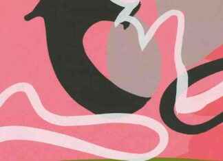 ‘Jane Kent Art Exhibition Review: Between the Covers | Seven Days’ jane-kent-art-exhibition-review-between-the-covers-seven-days