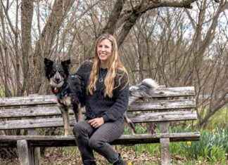 Pet Psychic Helps Owner Understand Their Uncommunicative Dog | Insightful Reading pet-psychic-helps-owner-understand-their-uncommunicative-dog-nsightful-reading