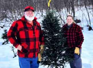 Vermont’s Christmas Tree Farms Facing Climate Change Challenges vermonts-christmas-tree-farms-facing-climate-change-challenges