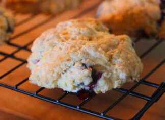 Creating Delicious Blueberry Bars: A Young Writers Project – VTDigger creating-delicious-blueberry-bars-a-young-writers-project-vtdigger