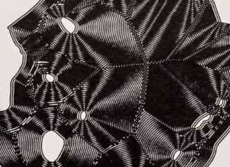 Exploring Jenn Karson’s AI Forest Exhibition: A Closer Look exploring-jenn-karsons-a-forest-exhibition-a-closer-look