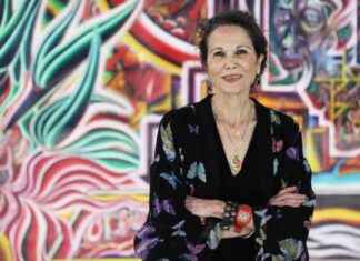 Julia Alvarez Discusses Borders and Bridges in Vermont – VTDigger julia-alvarez-discusses-borders-and-bridges-in-vermont-vtdigger