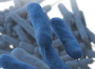 Legionnaires’ Disease Outbreak Claims One Life at Windsor Senior Living Facility legionnaires-disease-outbreak-claims-one-life-at-windsor-senior-living-facility