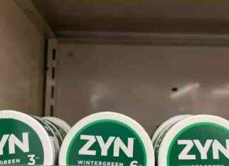 Rising Popularity of Zyn and Other Nicotine Pouches in Vermont rising-popularity-of-zyn-and-other-nicotine-pouches-in-vermont