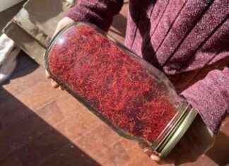 Sustainable Saffron Farming in Newbury: Vision and Experimentation sustainable-saffron-farming-in-newbury-vision-and-experimentation