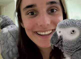 Vermont’s First Rhodes Scholar in Years: A CVU Graduate’s Achievement vermonts-first-rhodes-scholar-in-years-a-cvu-graduates-achievement