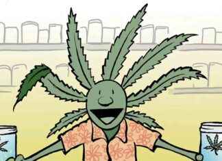 Vermont’s Medical Cannabis Program Set for Revamp: What to Expect vermonts-medical-cannabis-program-set-for-revamp-what-to-expect