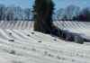 Best Snow Tubing Locations in New England best-snow-tubing-locations-in-new-england