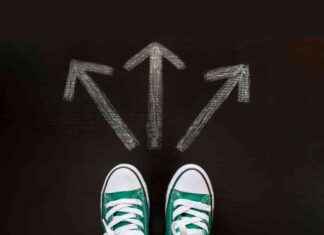 Comparing Apples, Oranges, and Colleges: A Comparative Analysis comparing-apples-oranges-and-colleges-a-comparative-analysis