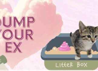 Humane Society Chittenden County ‘Dump Your Ex’ Event humane-society-chittenden-county-dump-your-ex-event