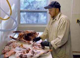 Interview with Brent Kidder: Smoke & Cure Insights nterview-with-brent-kidder-smoke-cure-nsights