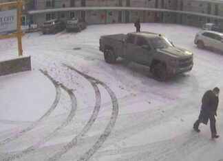 Investigating the Zizian Group: Vermont Border Agent’s Death nvestigating-the-zizian-group-vermont-border-agents-death