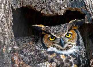 Top Vermont Events: February 26 – March 5, 2025 top-vermont-events-february-26-march-5-2025