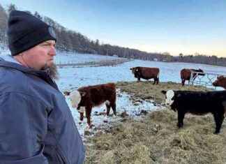 Vermont Officials Address Violation of Billboard Law by Tire Shop vermont-officials-address-violation-of-billboard-law-by-tire-shop