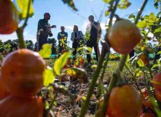 Vermont USDA Research Unit Faces Layoffs: Shockwaves in Team vermont-usda-research-unit-faces-layoffs-shockwaves-in-team