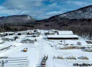 Impact of Vermont Sawmill Closures on Forests mpact-of-vermont-sawmill-closures-on-forests