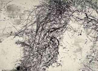 Innovative Cabot Printmakers Revitalize Traditional Printing Methods nnovative-cabot-printmakers-revitalize-traditional-printing-methods