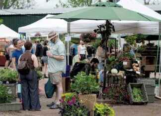 Explore the Burlington Farmers Market Vendors for Summer Delights | Seven Days explore-the-burlington-farmers-market-vendors-for-summer-delights-seven-days