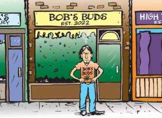 Navigating Vermont’s Competitive Cannabis Market: Tips for Retailers and Growers navigating-vermonts-competitive-cannabis-market-tips-for-retailers-and-growers