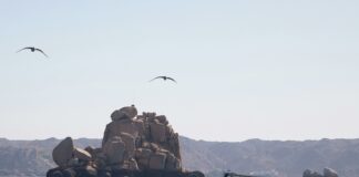 JD Vance Ski Vermont: Discover Why This Destination Is Unmissable!