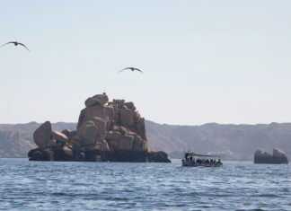 JD Vance Ski Vermont: Discover Why This Destination Is Unmissable!