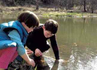 Summer Activities in Vermont: Fun Things to Do in Vermont This Season summer-activities-in-vermont-fun-things-to-do-in-vermont-this-season