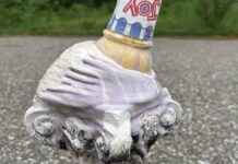 Ultimate Guide to Burlington Creemee: A Hater’s Perspective ultimate-guide-to-burlington-creemee-a-haters-perspective