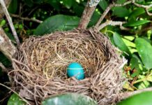 young-writers-project-exploring-kindness-stories-vtdigger