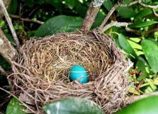 Young Writers Project: Exploring Kindness Stories – VTDigger young-writers-project-exploring-kindness-stories-vtdigger