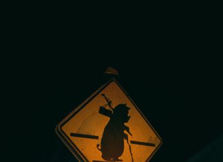 Biggest City In Vermont: Discover What Makes It Truly Unique