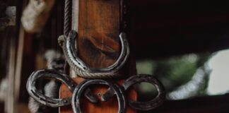 Farmhouse Pottery Vermont: Discover Unique Handmade Ceramics Today