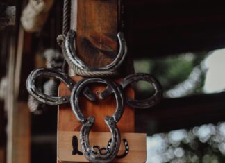 Farmhouse Pottery Vermont: Discover Unique Handmade Ceramics Today