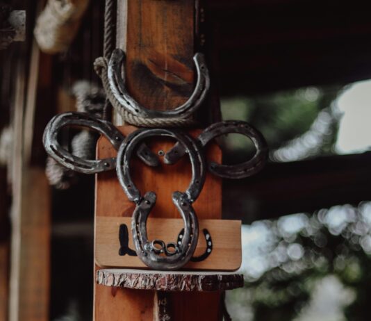 Farmhouse Pottery Vermont: Discover Unique Handmade Ceramics Today