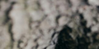 Vance Vermont Secrets Revealed: Why You Can’t Miss This Hidden Gem