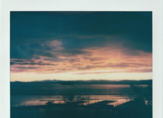 Vermont Lake Monsters: Discover The Mystery Behind The Legend