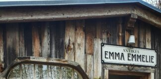 Vermont Country Store Curtains: Discover Timeless Charm for Homes