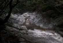 Vermont County Map: Discover Hidden Gems and Travel Secrets