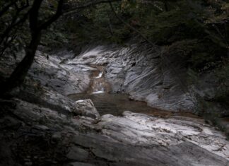 Vermont County Map: Discover Hidden Gems and Travel Secrets