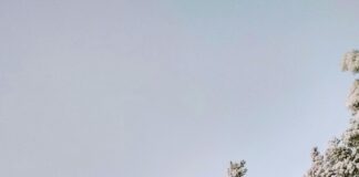 Snow Report In Stowe Vermont: Discover Fresh Powder & Trails Today