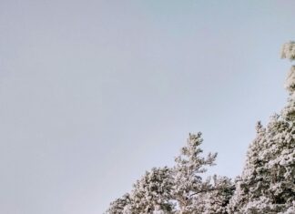 Snow Report In Stowe Vermont: Discover Fresh Powder & Trails Today