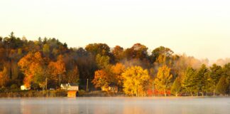 Vermont Fall Colors: Discover The Most Stunning Autumn Views