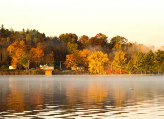 Vermont Fall Foliage: Discover Stunning Views and Hidden Gems