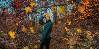 Vermont State Parks: Discover Hidden Gems and Ultimate Outdoor Adventures