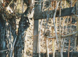 Bellows Falls Vermont: Discover Hidden Gems and Local Secrets