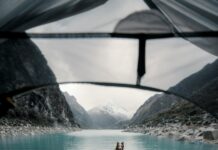 Dog Mountain Vermont: Discover The Ultimate Adventure For Dog Lovers