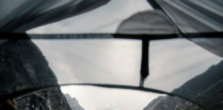 Dog Mountain Vermont: Discover The Ultimate Adventure For Dog Lovers