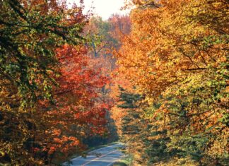 Vermont State Map: Discover Hidden Gems and Scenic Routes Today