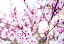 Jd Vance In Vermont: What Surprising Impact Is He Making Today?